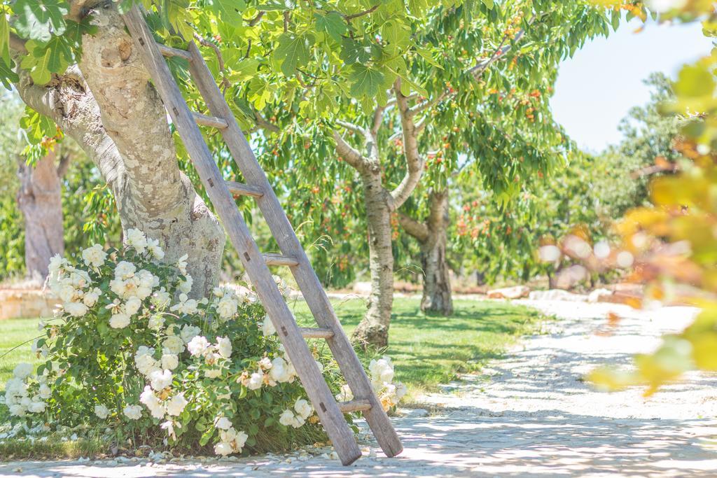 Masseria Rosa Trulli Relais Alberobello Ngoại thất bức ảnh